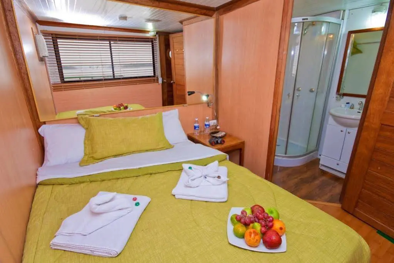 Manatee Amazon Explorer