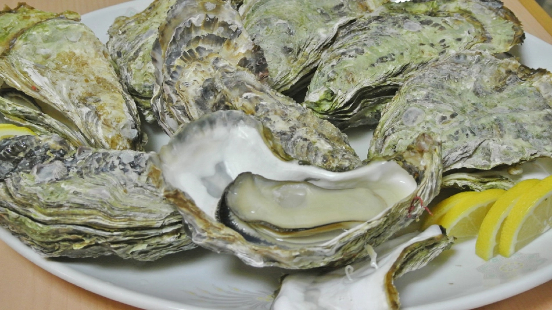 Seaside Katsuragahamaso