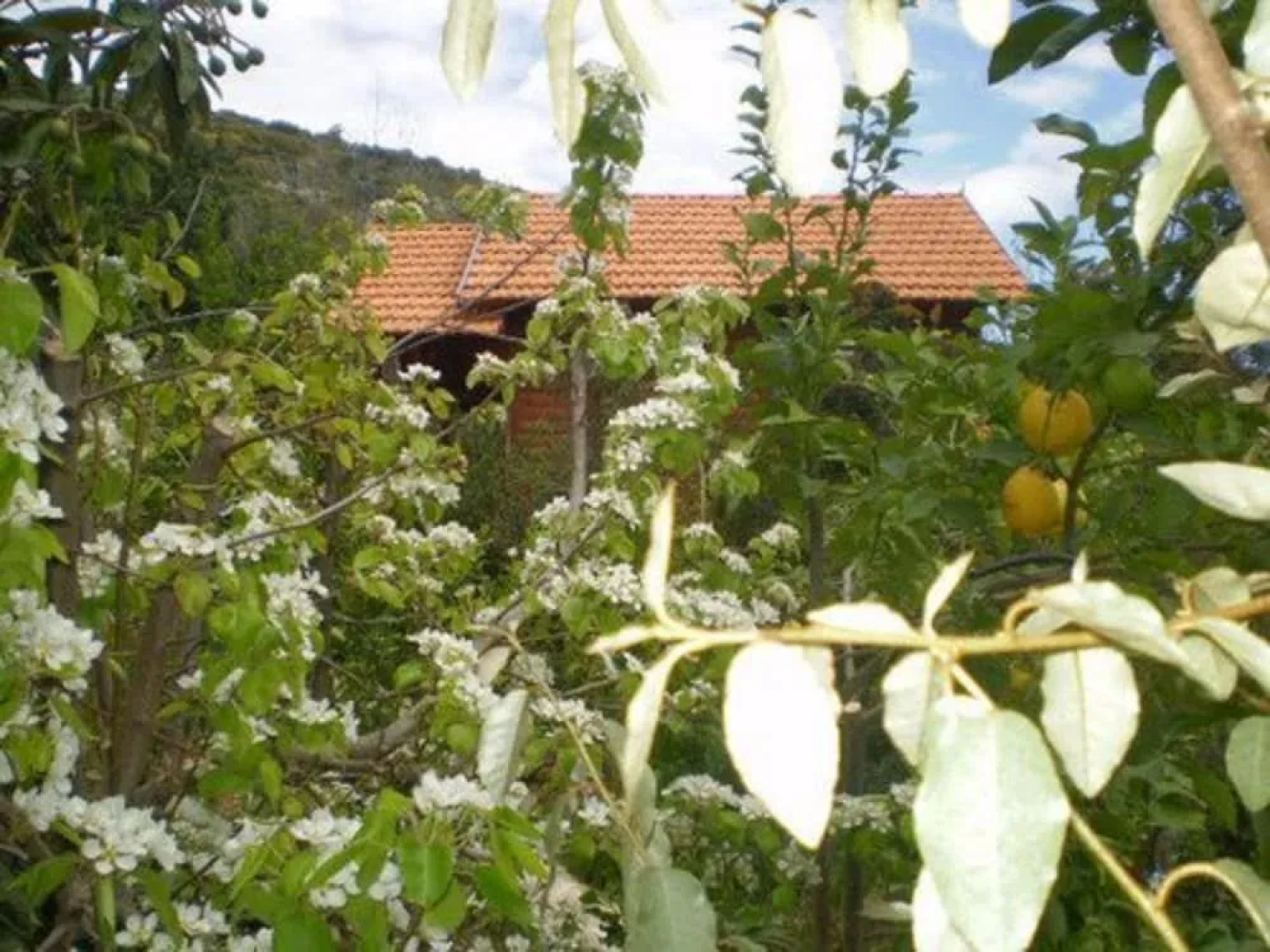 Amirim Atmosphere