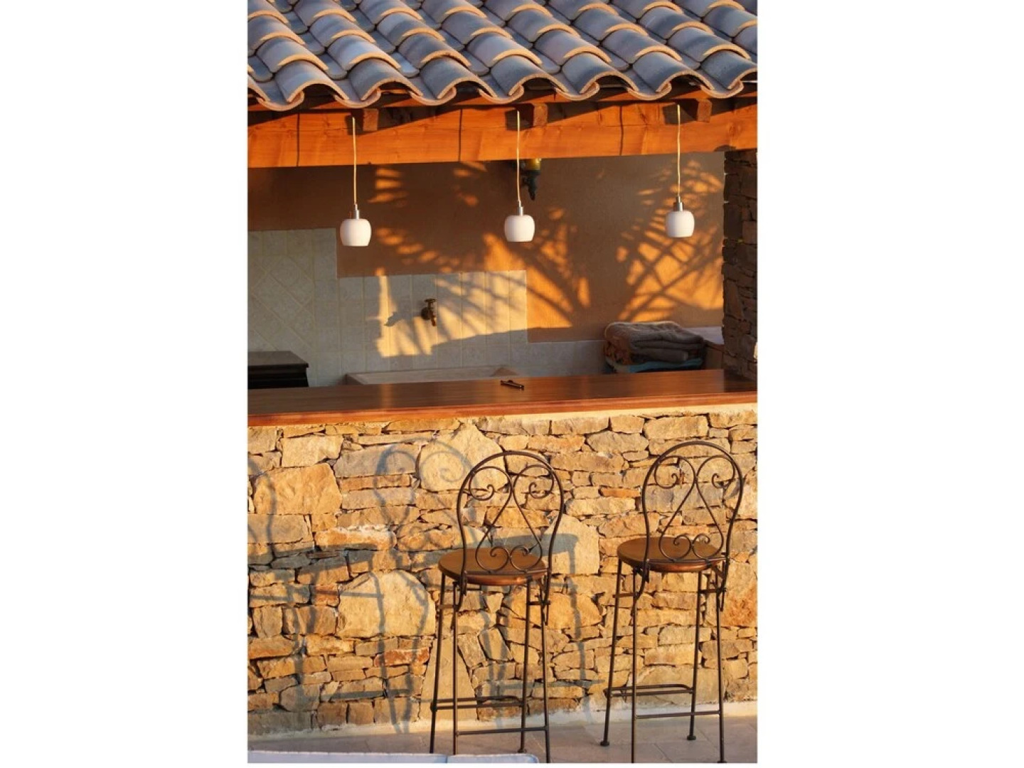 La Cigale sous l'olivier