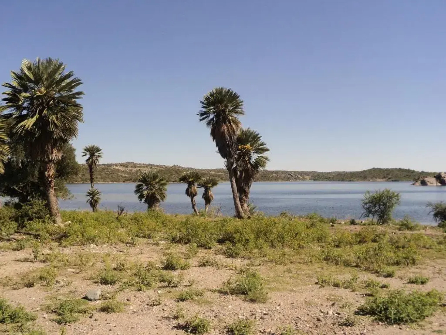 Cabanas En El Jardin Nativo