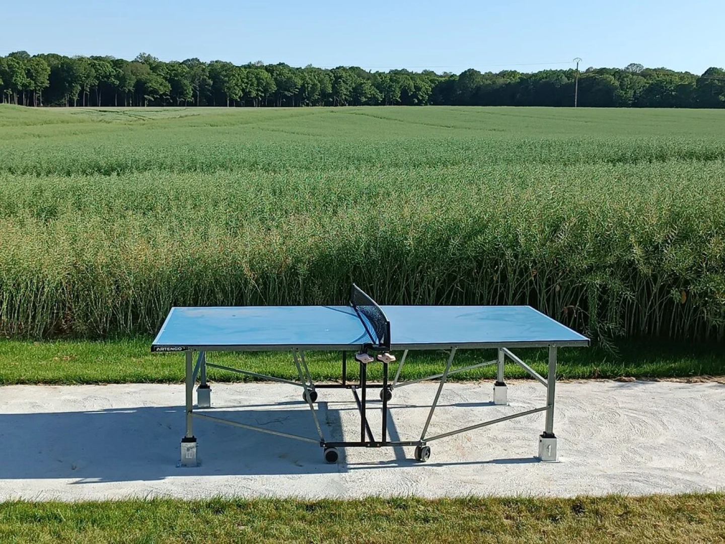 Le Domaine des Hirondelles