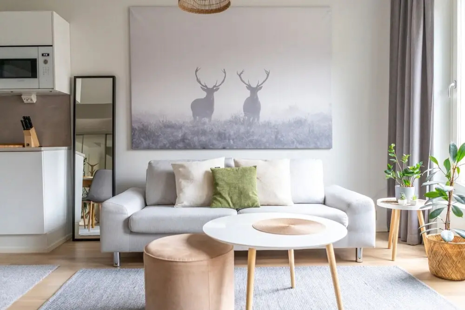 Spacious 1br with parking on the street