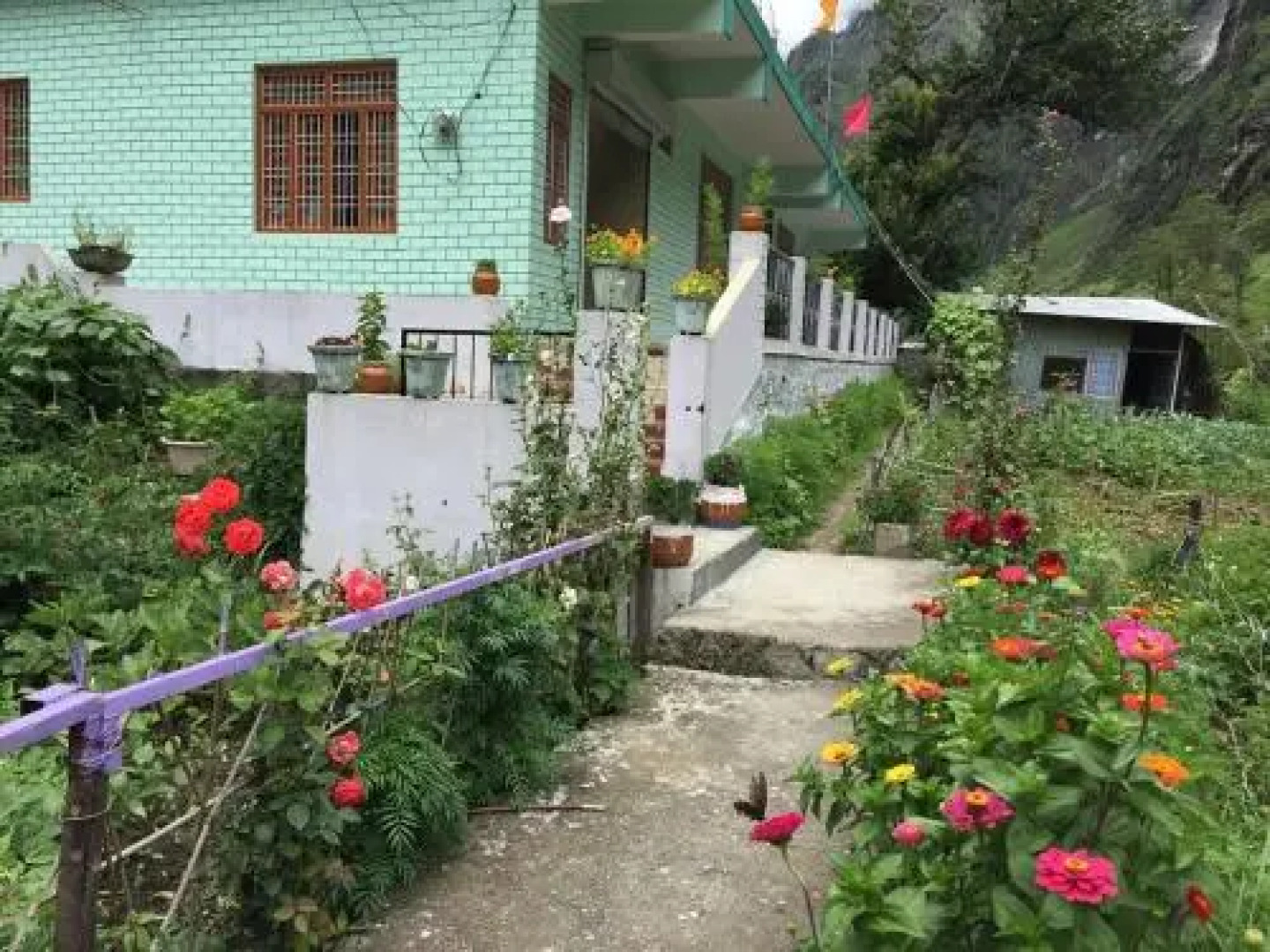 Peaceful stay in course of Nature