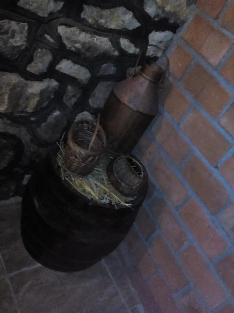 Guest House Vila Banjica