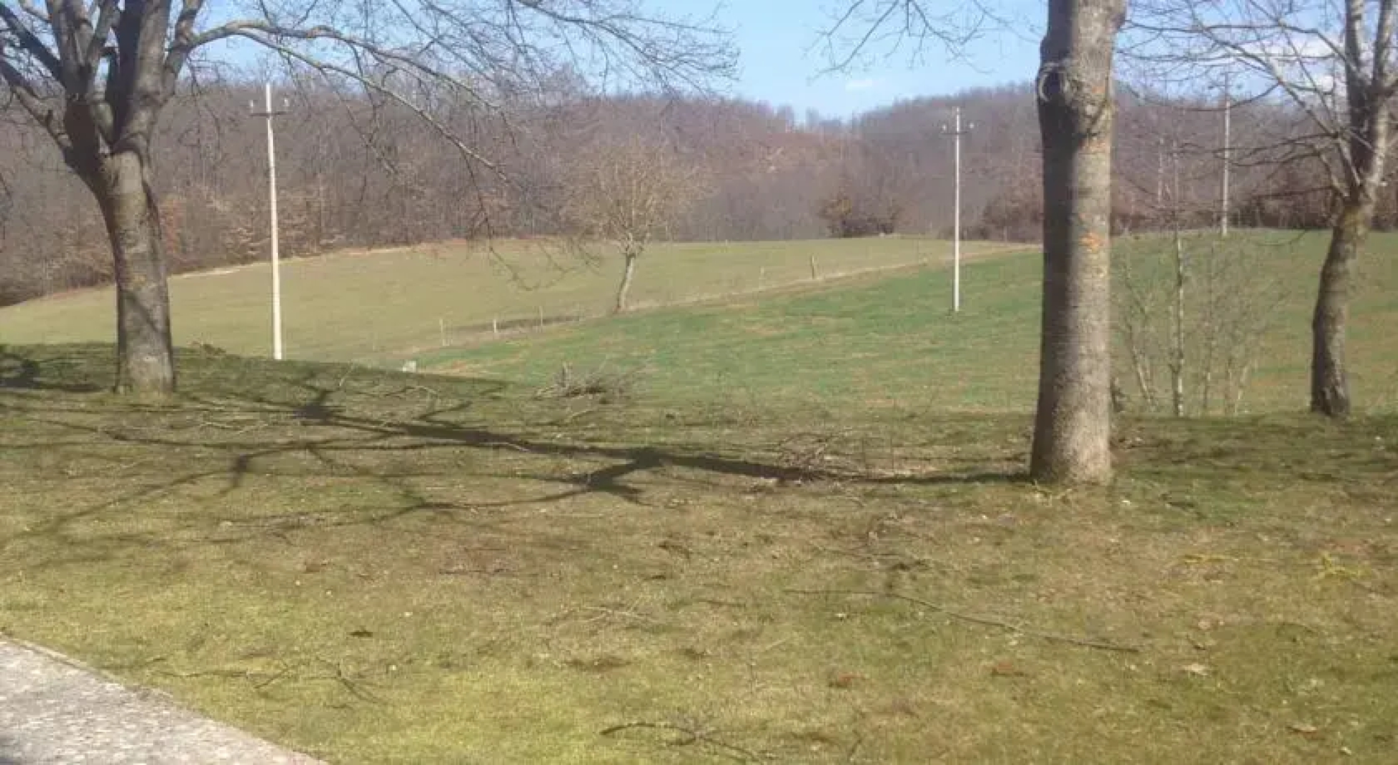 Passeggiate nel Verde Estremo