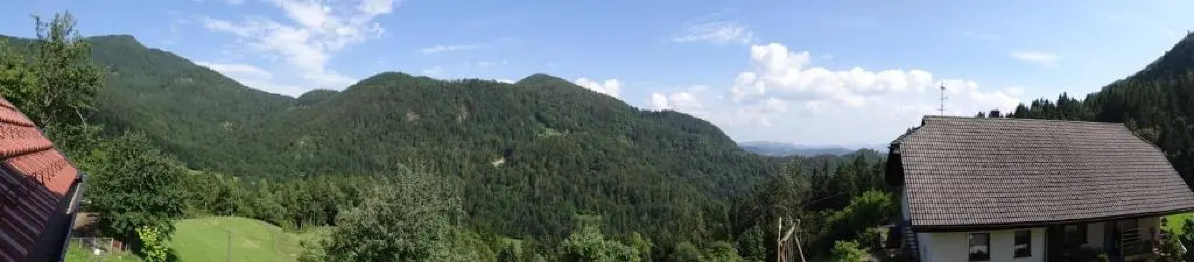 Apartments Trebušak