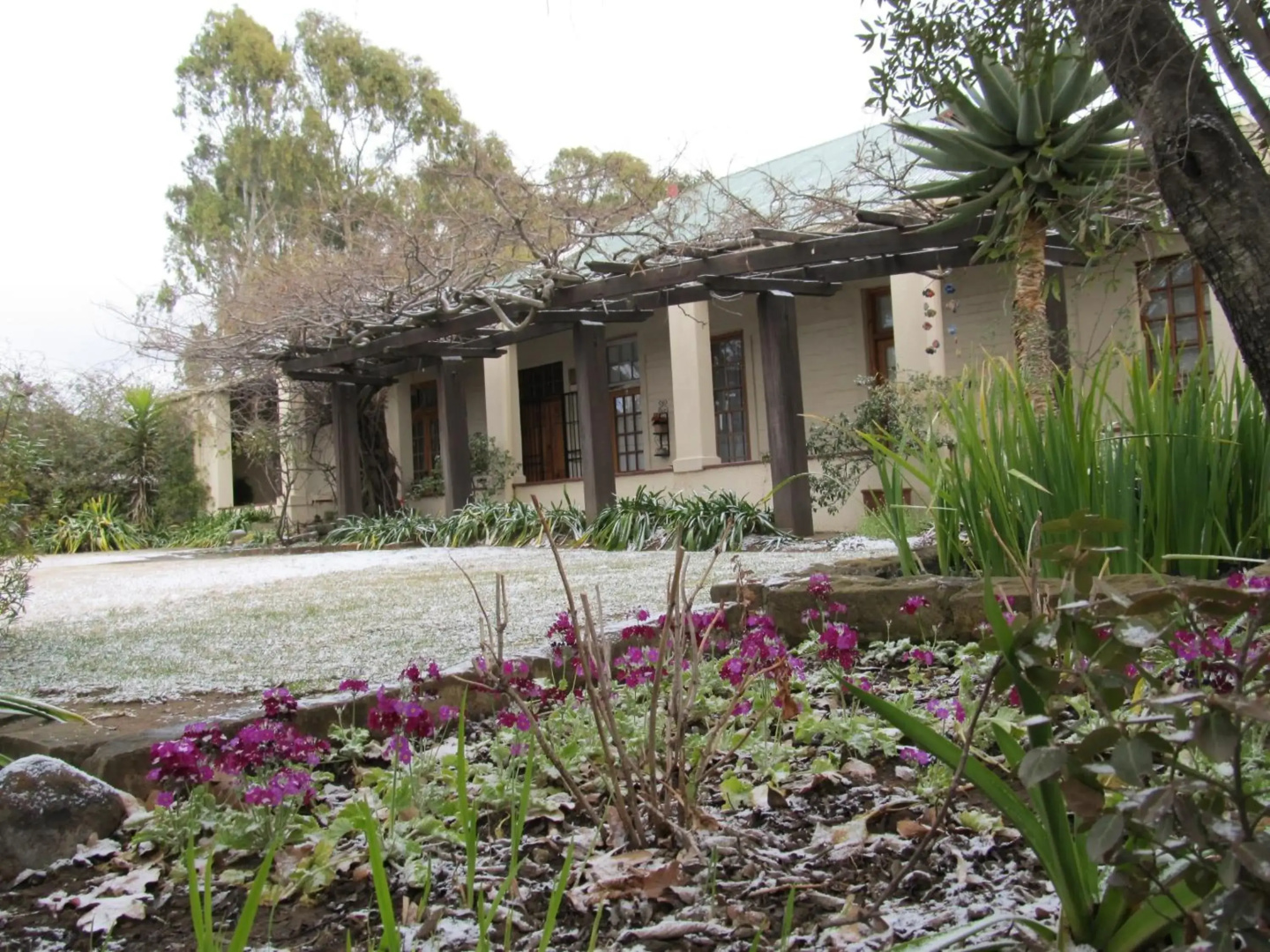 Top House Bed & Breakfast