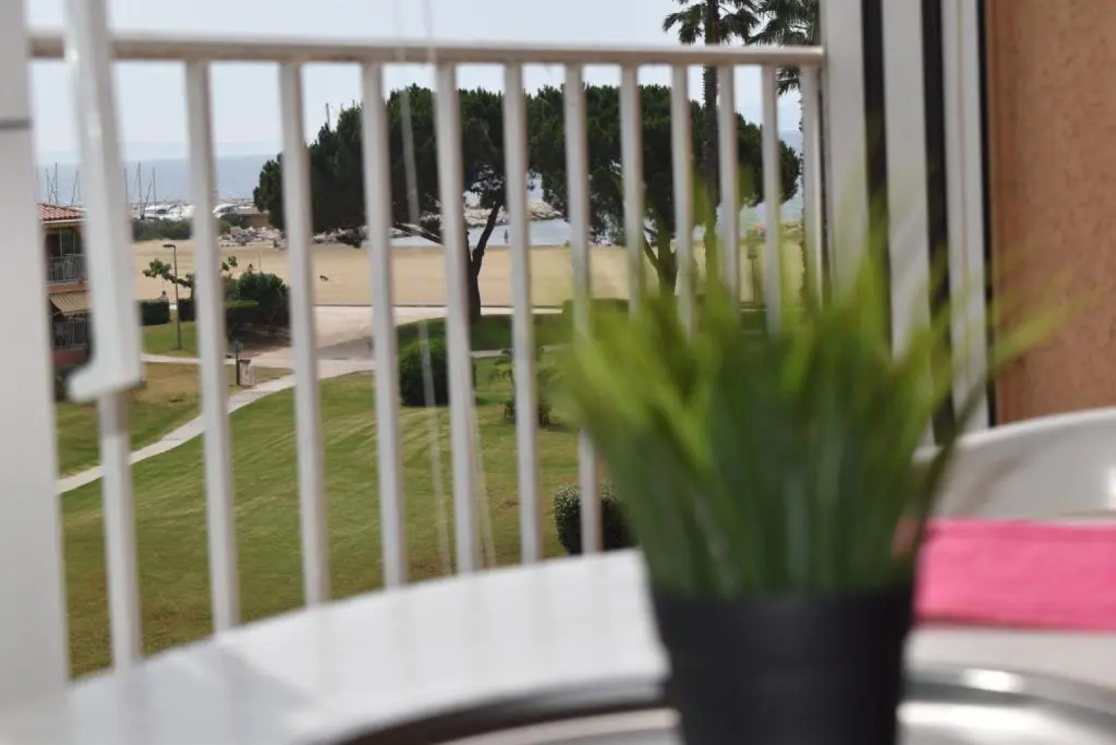 5 personnes les pieds dans l'eau à Santa-Cruz