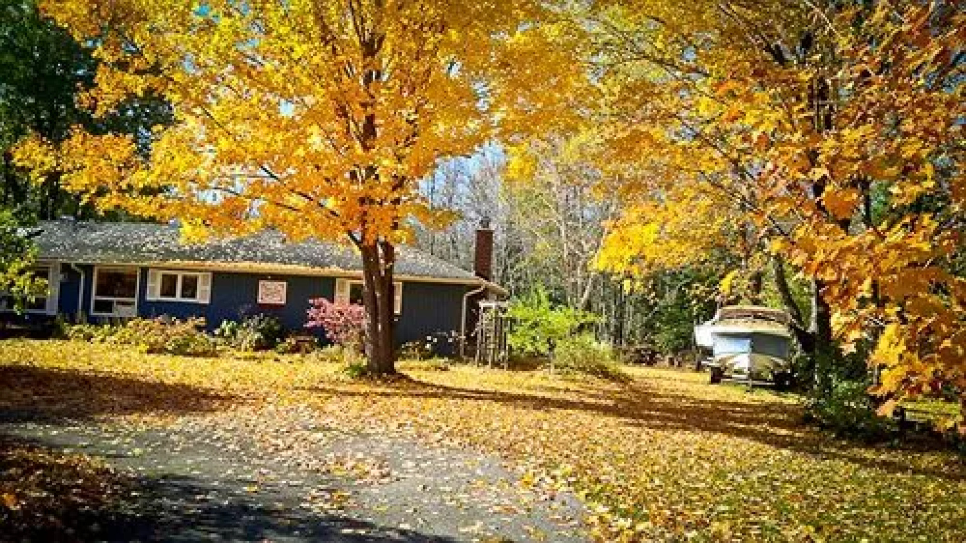 Eider's down Bed and Breakfast