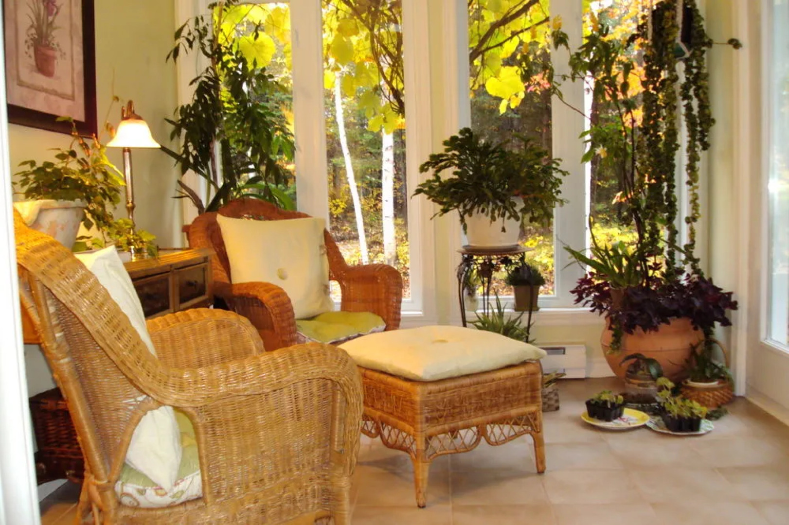 Gîte Forestier De La Rivière Saguay