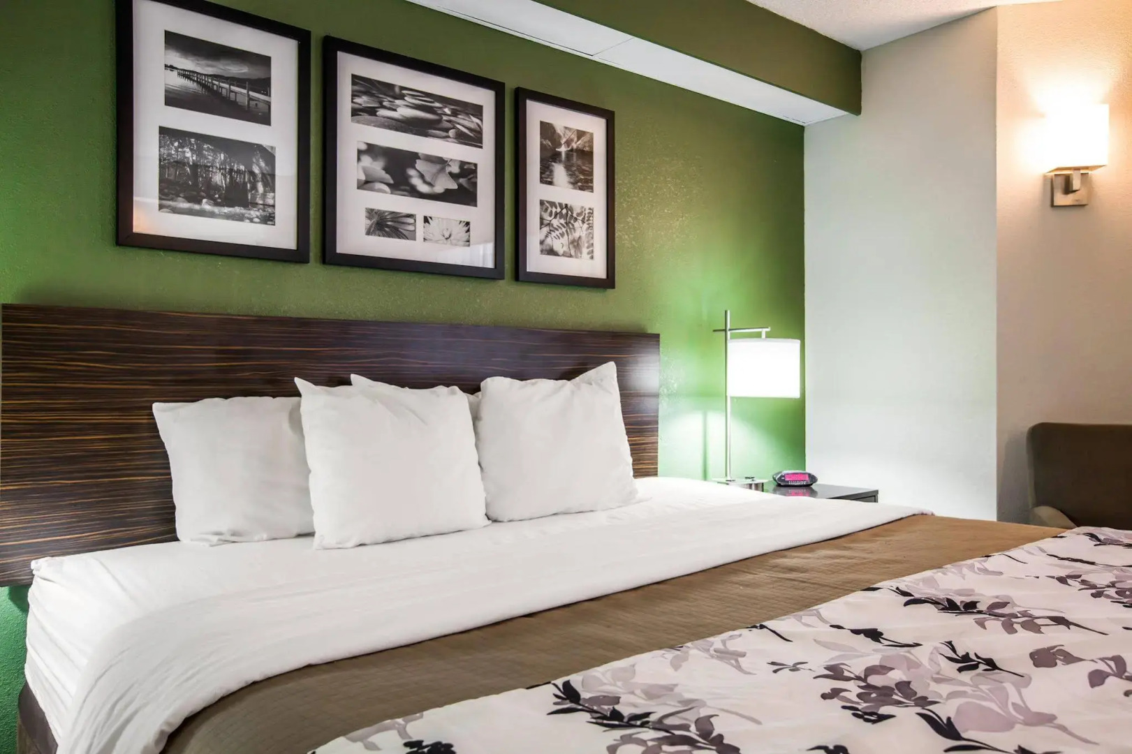 Sleep Inn & Suites Kingsport TriCities Airport