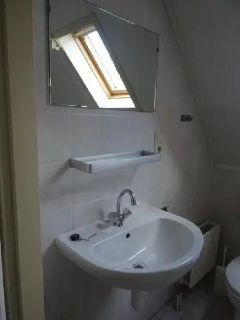 Park Schoneveld, Stern 240