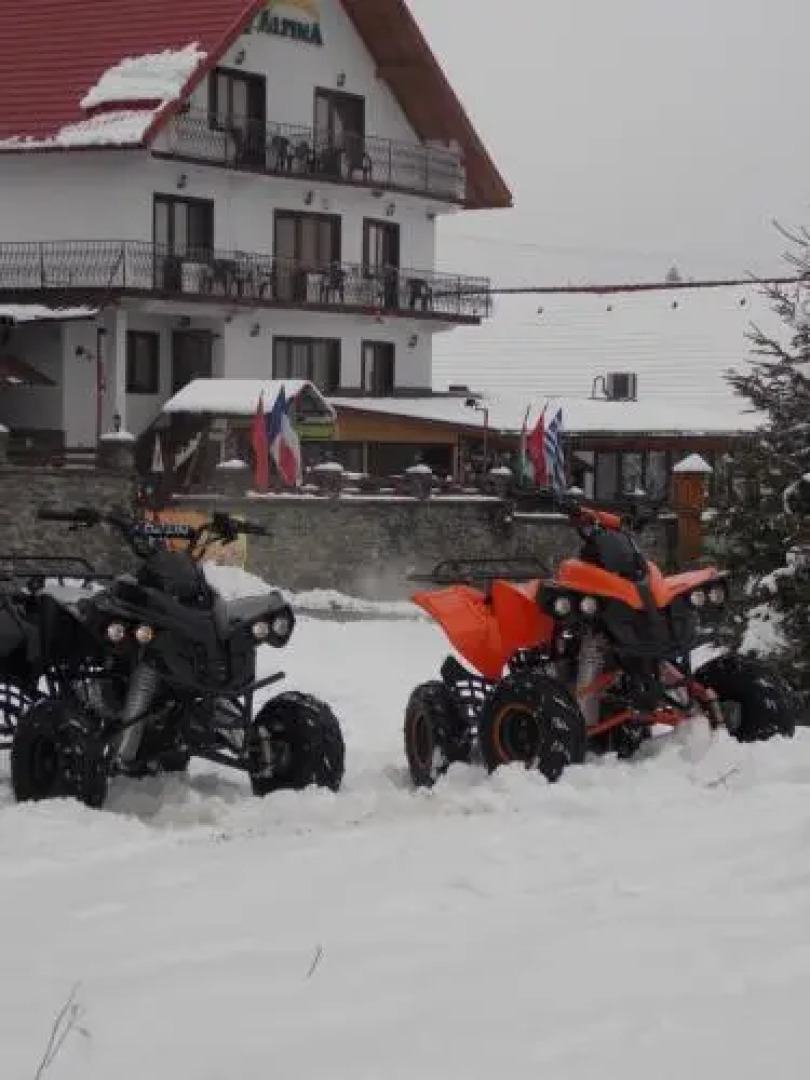 Pensiunea Alpina Casi & Spa