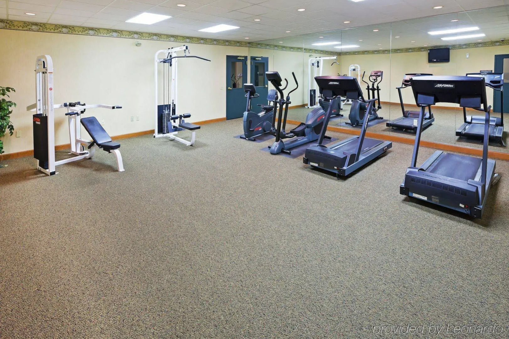 Holiday Inn Express & Suites Wyomissing by IHG