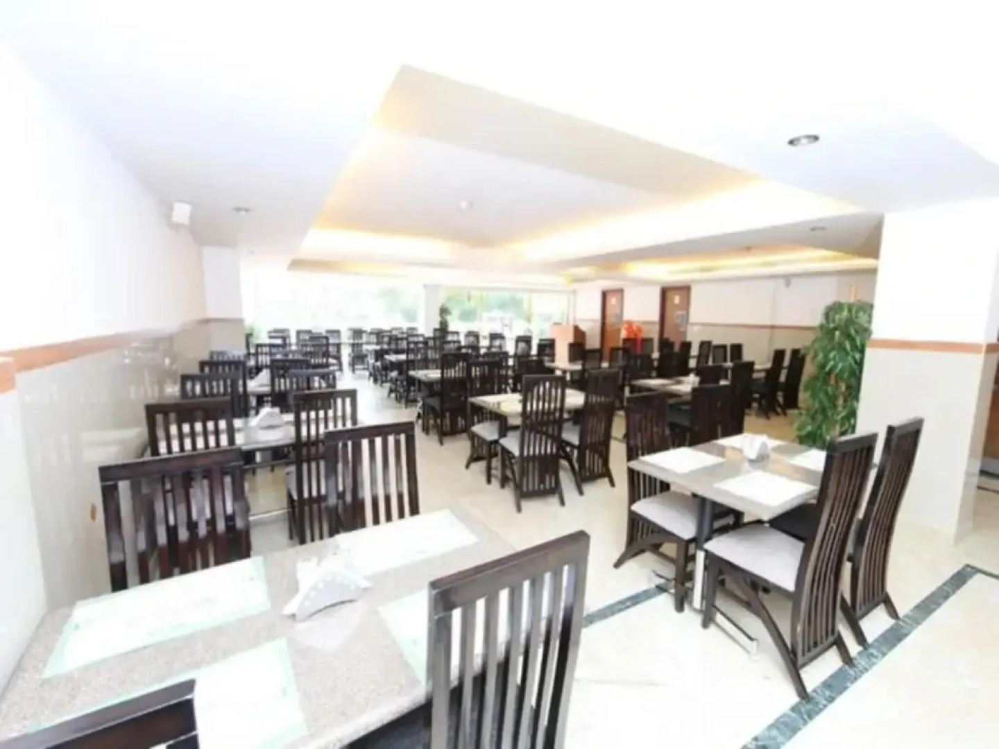 White Dammar International