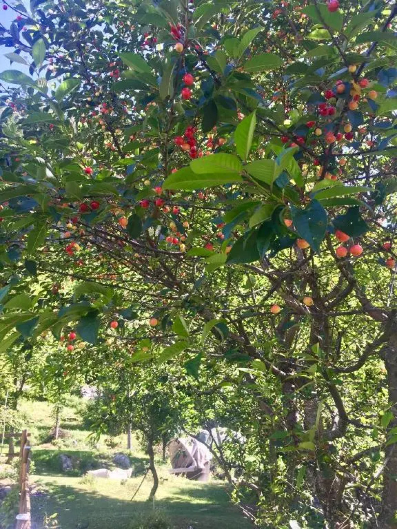 Appartamento Casa Weisstor