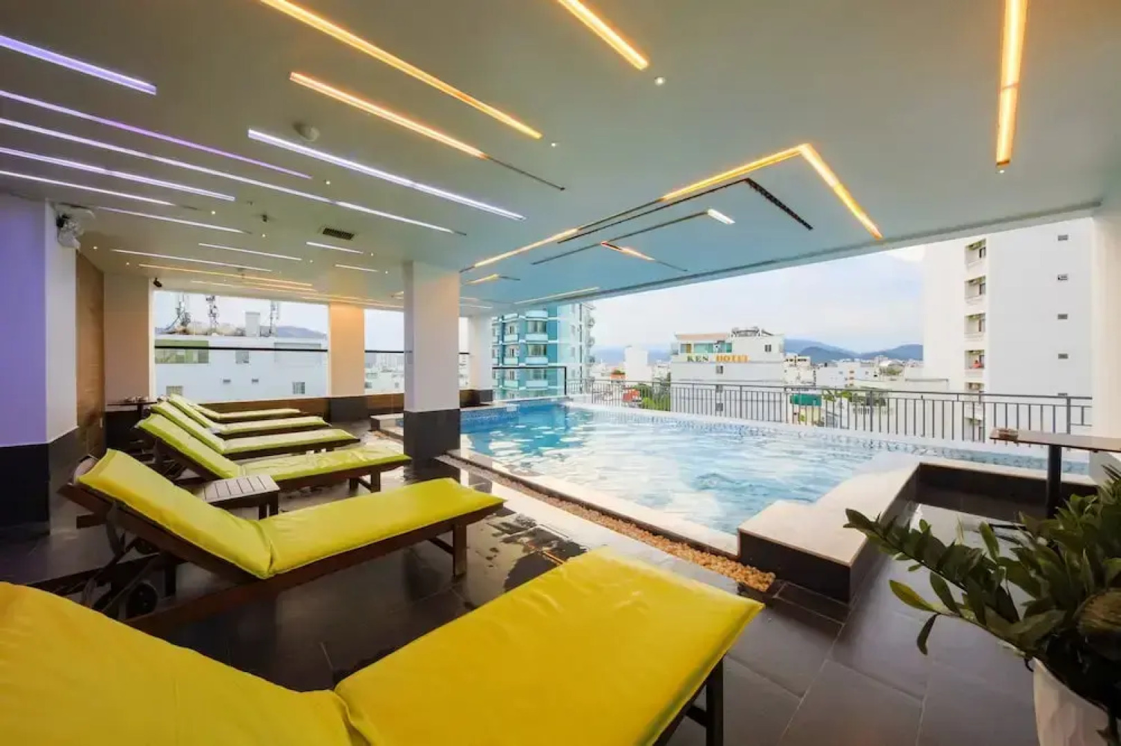 Daisy Flower Nha Trang