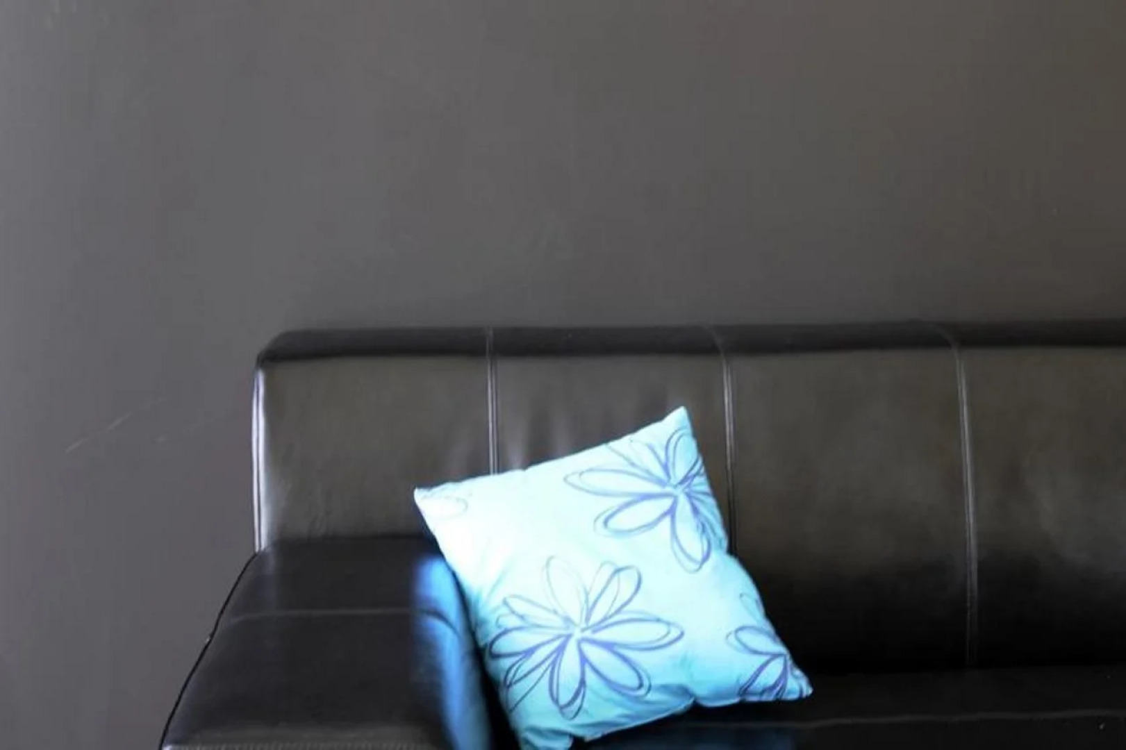 Dolphin Suites & Wellness Curacao