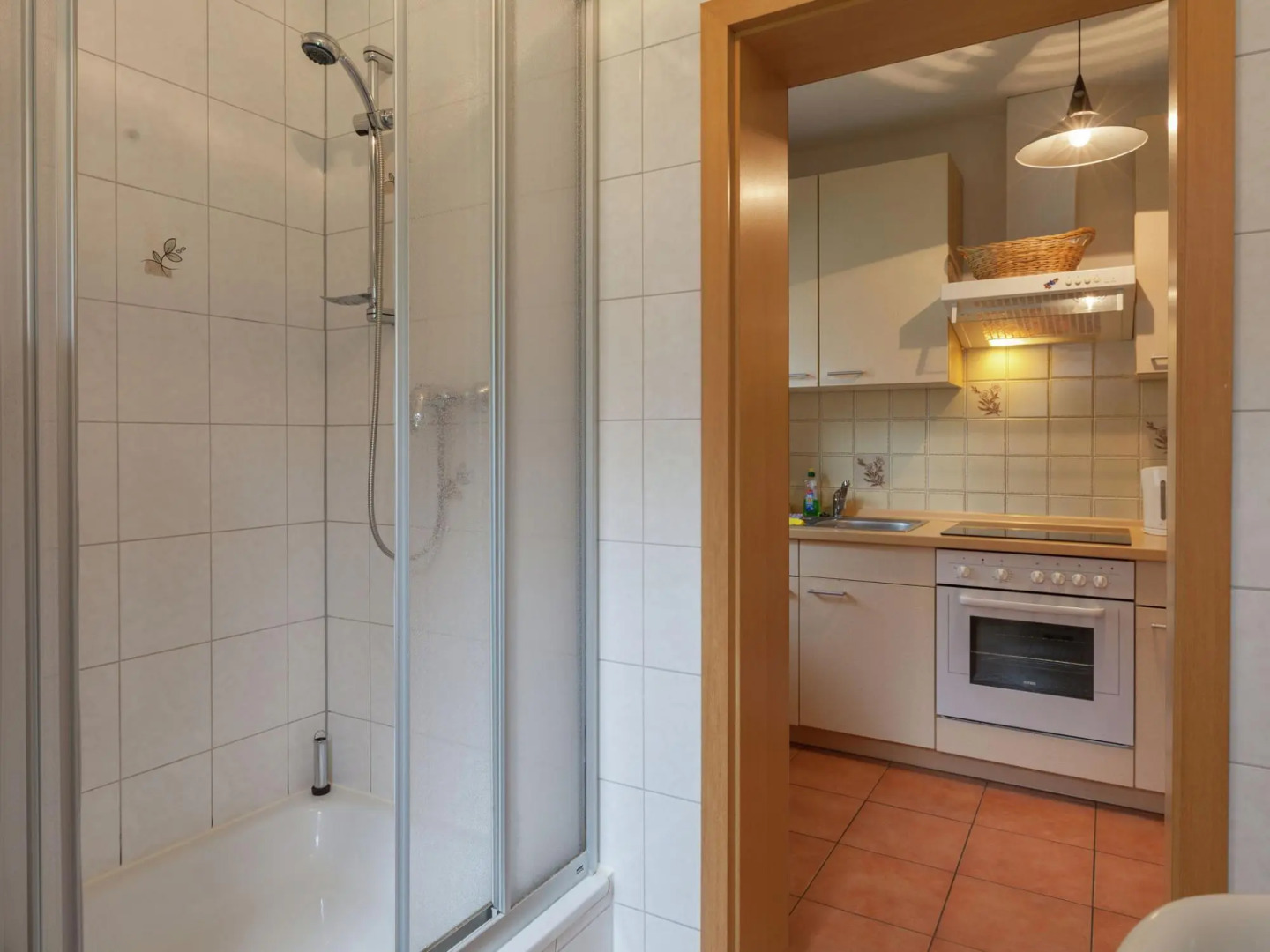 Modern Apartment in Reinhardtsdorf-Schona near Ski Slopes