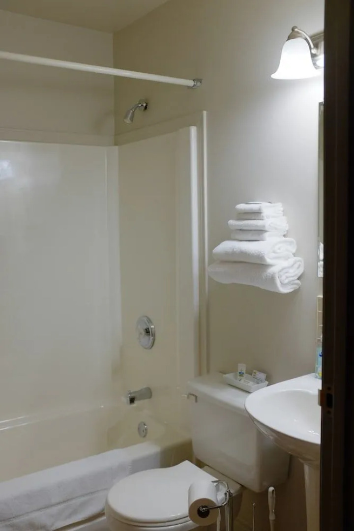 Hotel Robin Hood and Suites