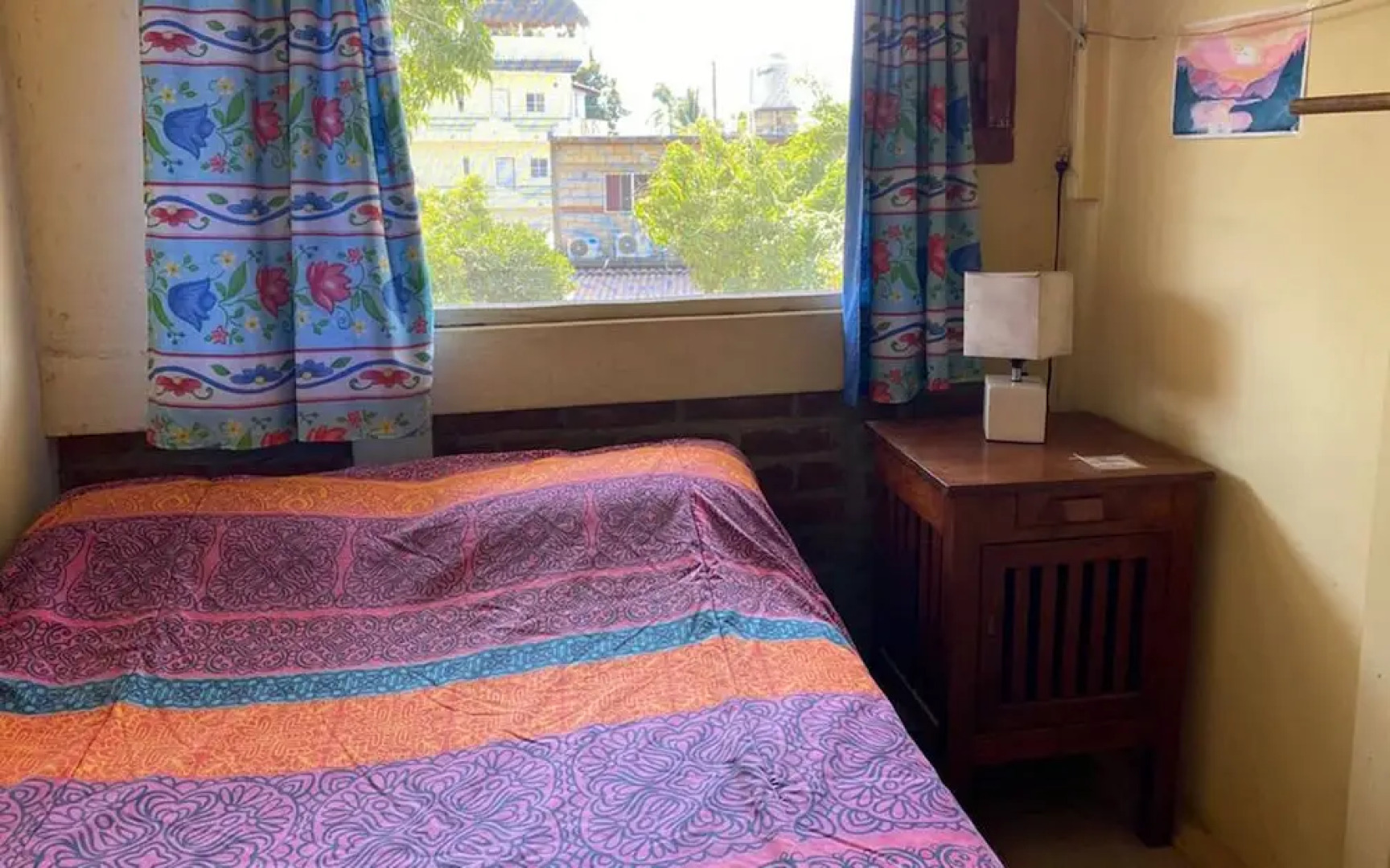 The Octopus's Garden