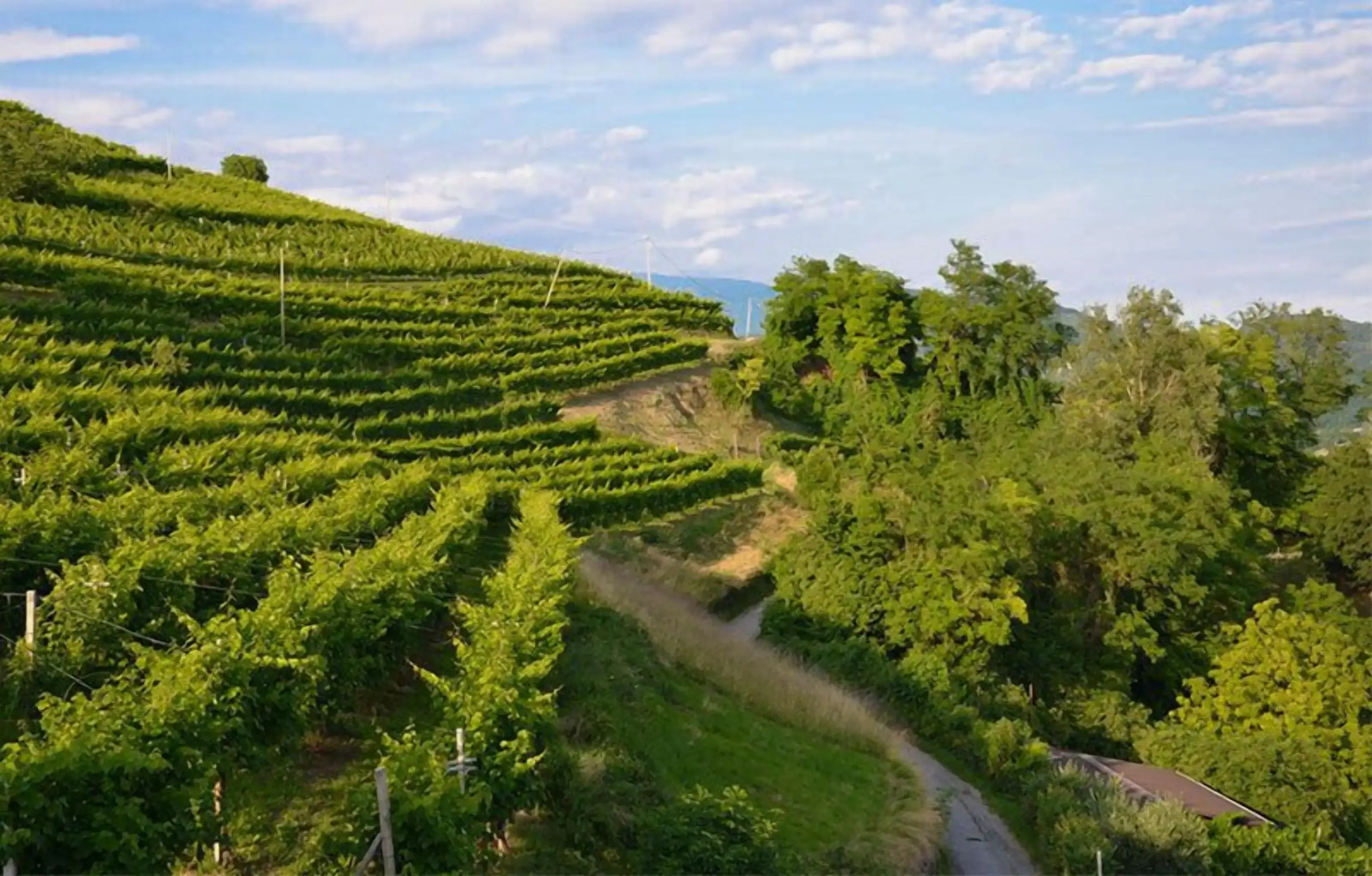 Ristorante Hotel da Tullio