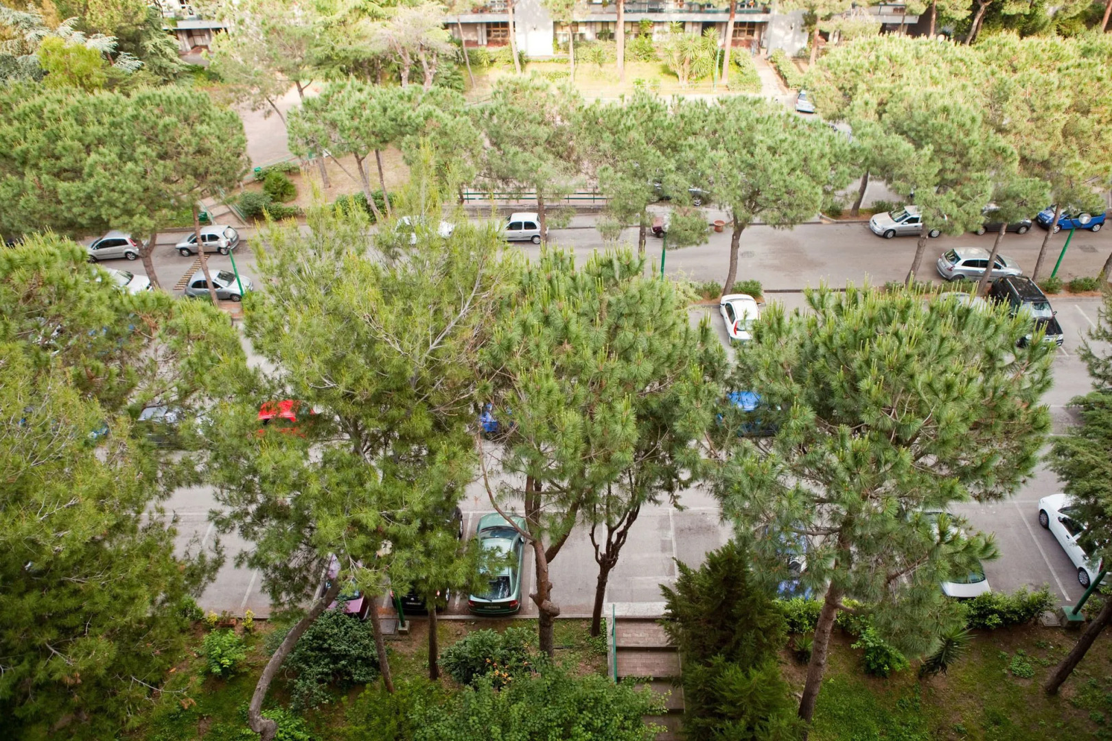 Rooms Rent Vesuvio B&B