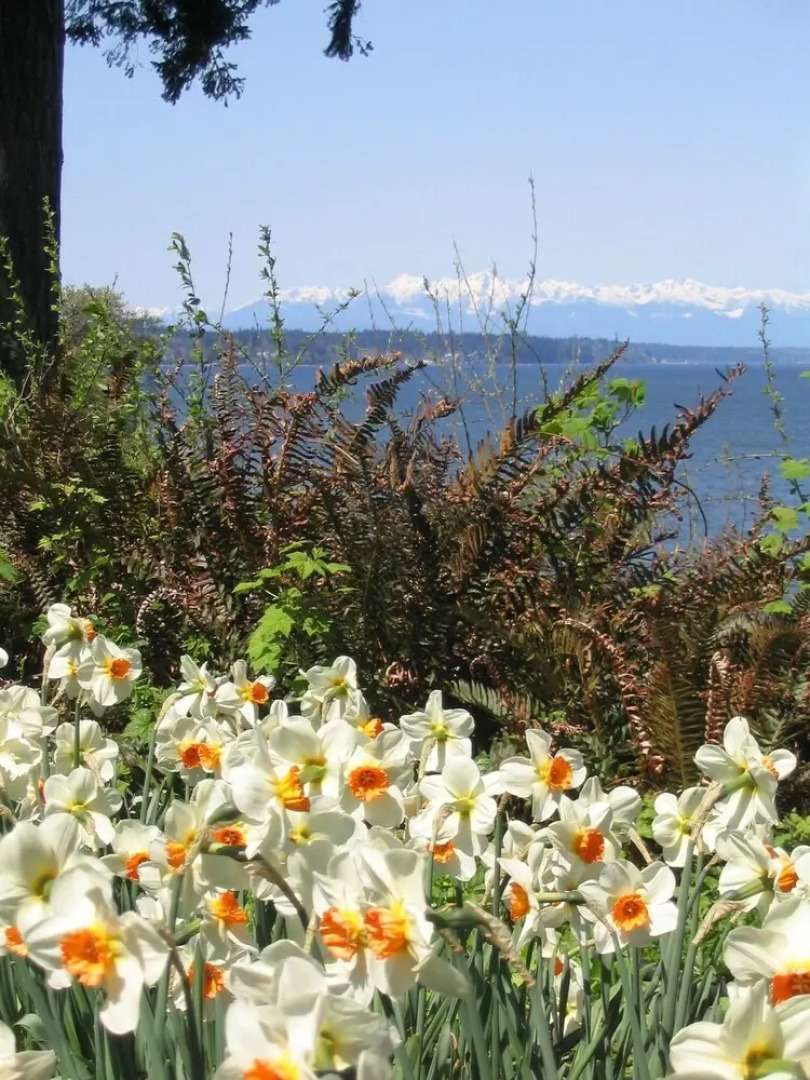 The Inn at Mallard Cove