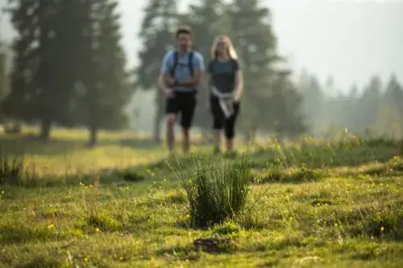 Rogla – Hotel Rogla