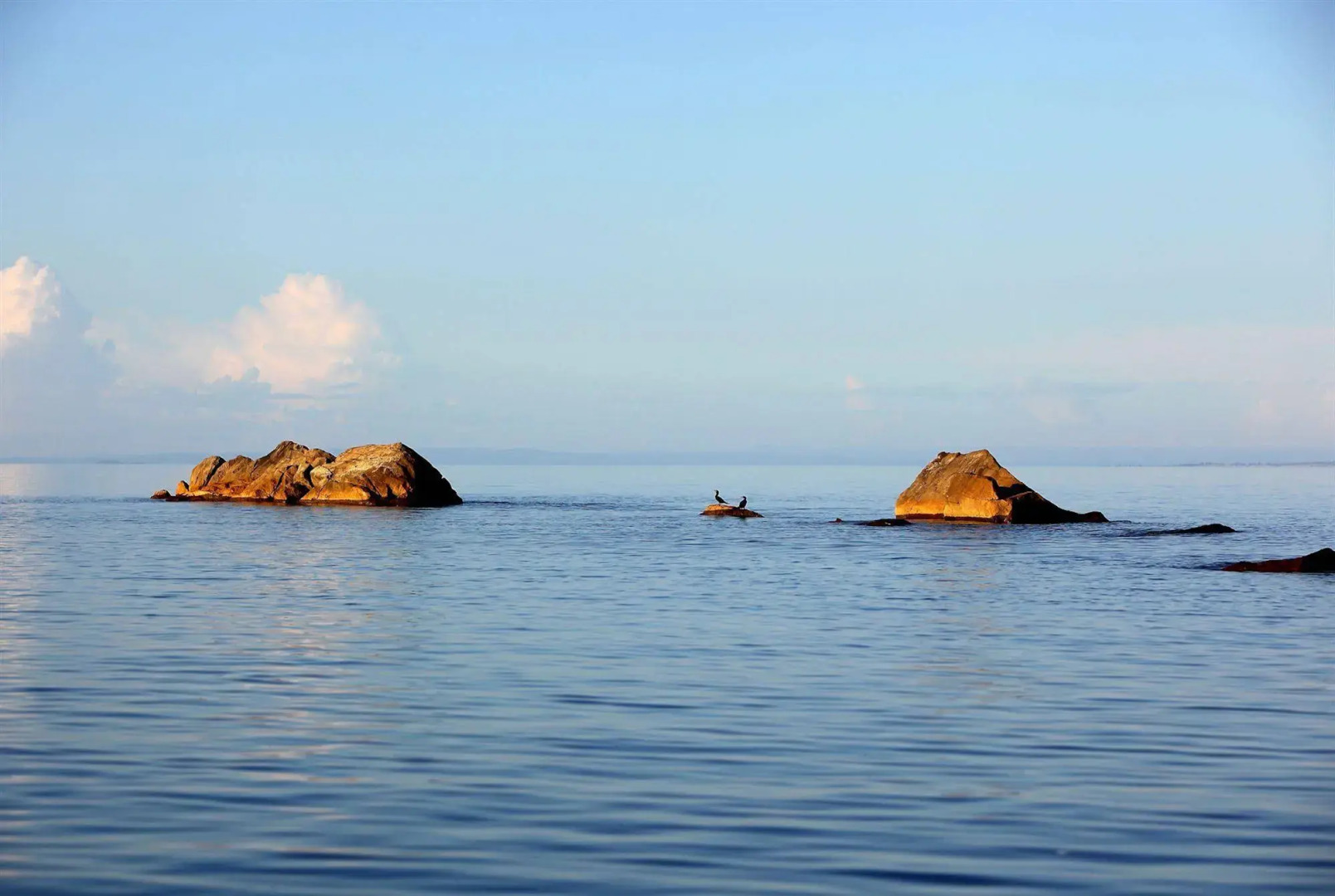 Blue Zebra Island Lodge