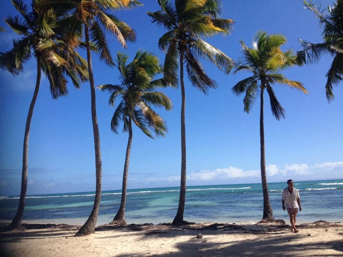 Apartment With 2 Bedrooms in Deshaies , With Enclosed Garden and Wifi