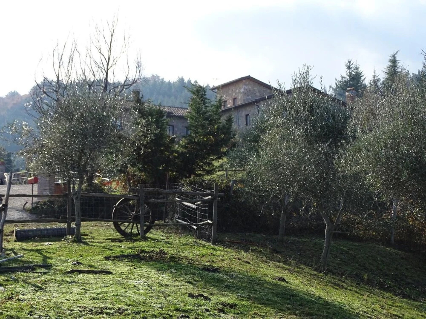 Agriturismo Olivastrella