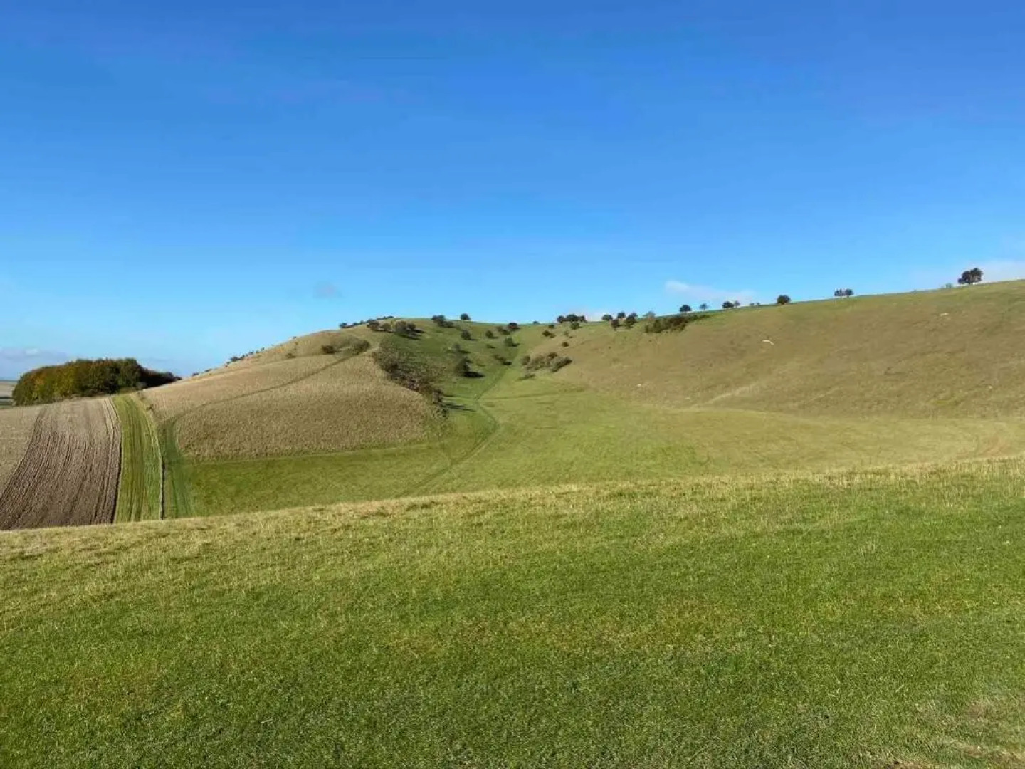 Cosy Rural Retreat, Sleeps 3 & Petfriendly