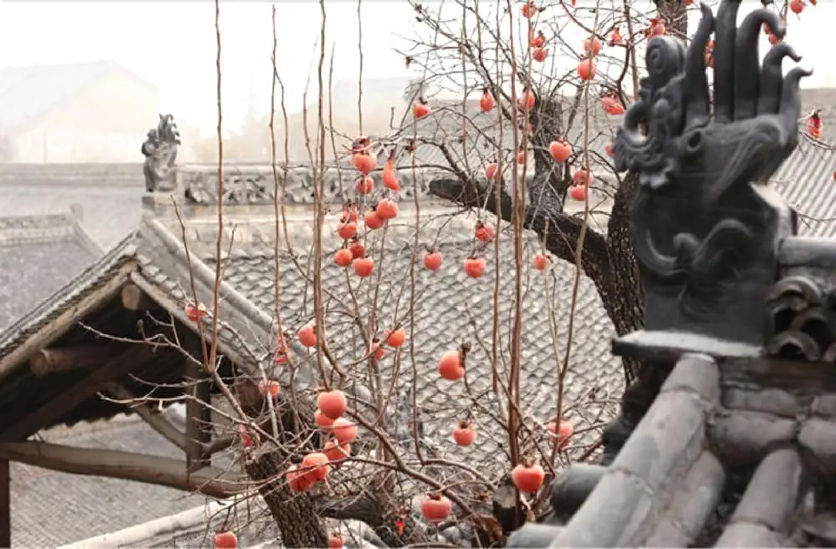 Zuoyouke Theme Hotel