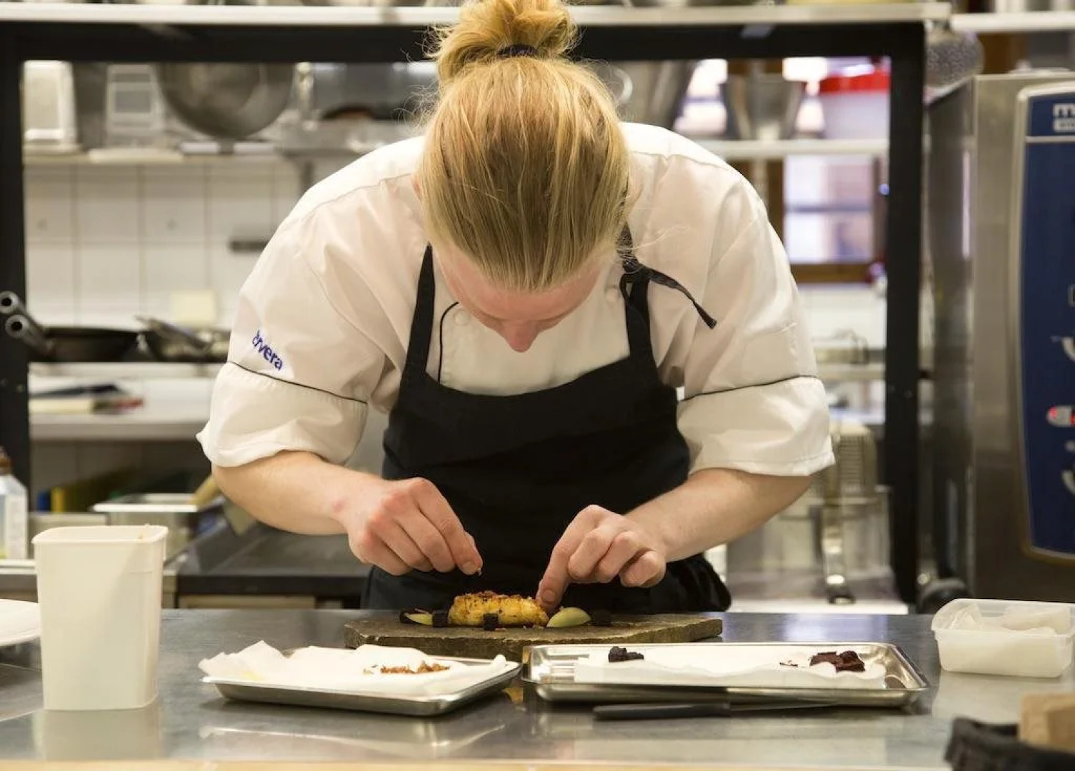 Skoogs Krog och Logi