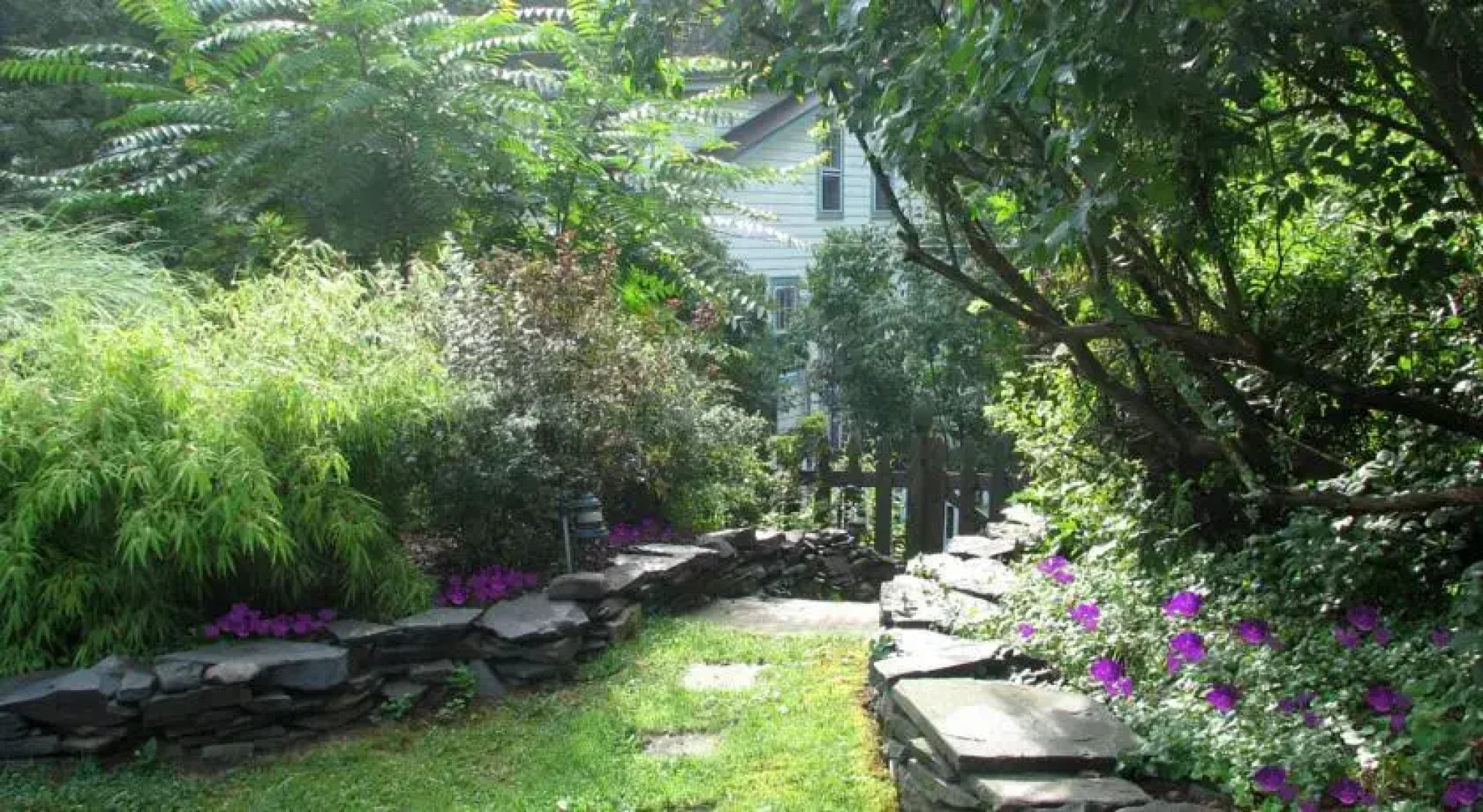 Blue Pearl Woodstock