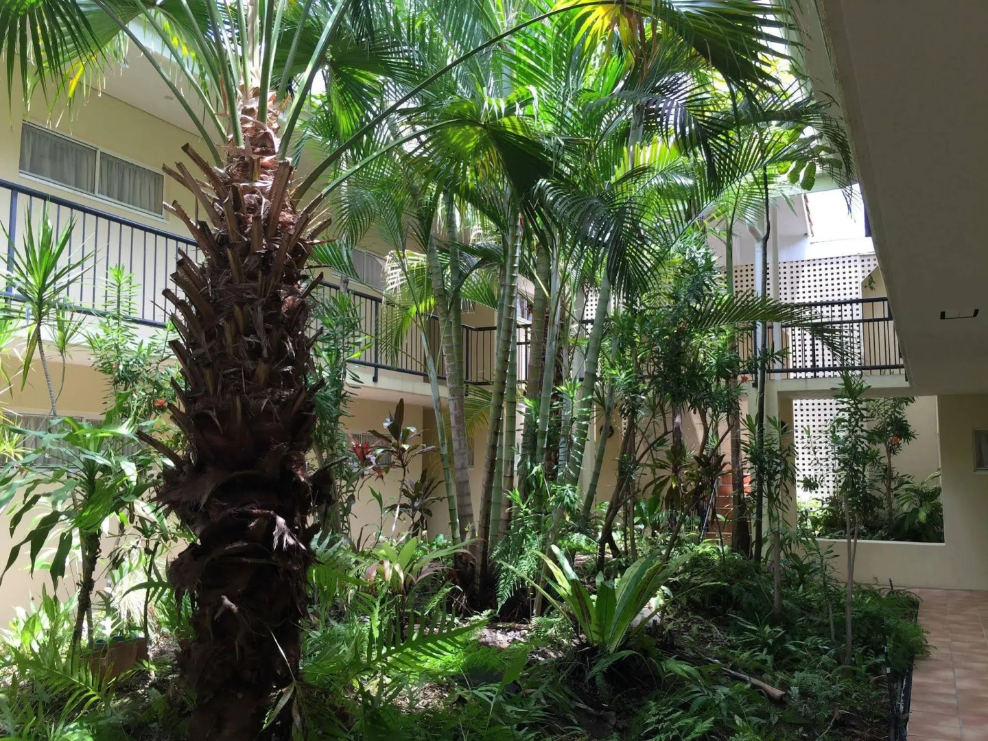 Villa Vaucluse Apartments of Cairns