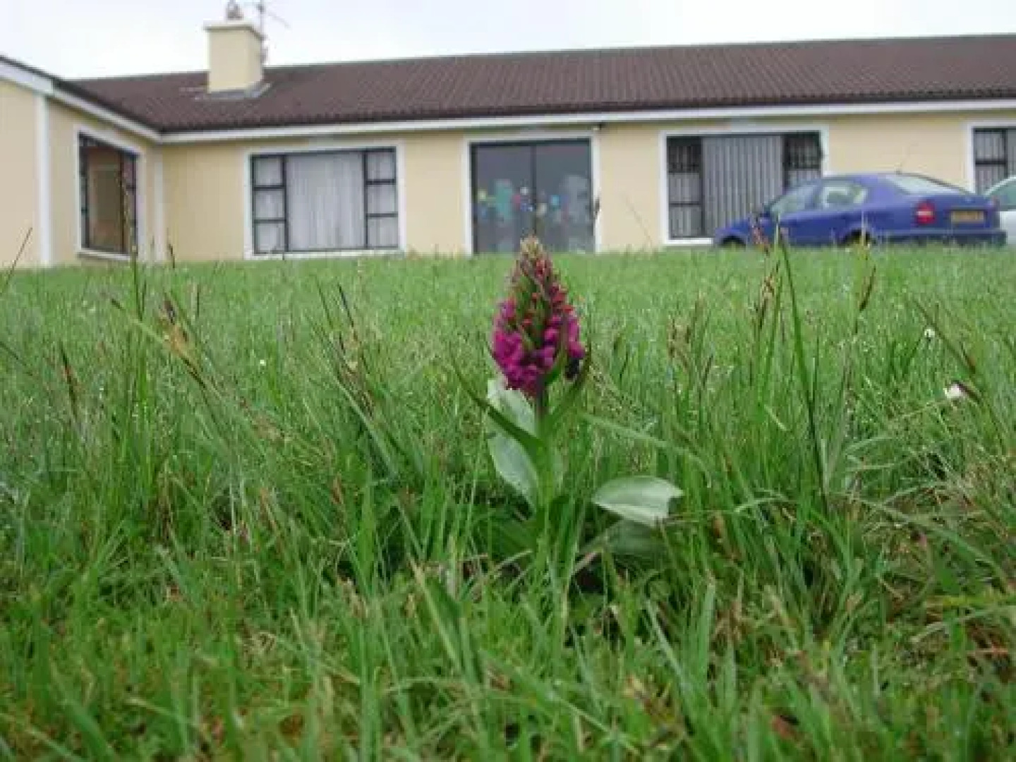 Burren Breeze Accommodation