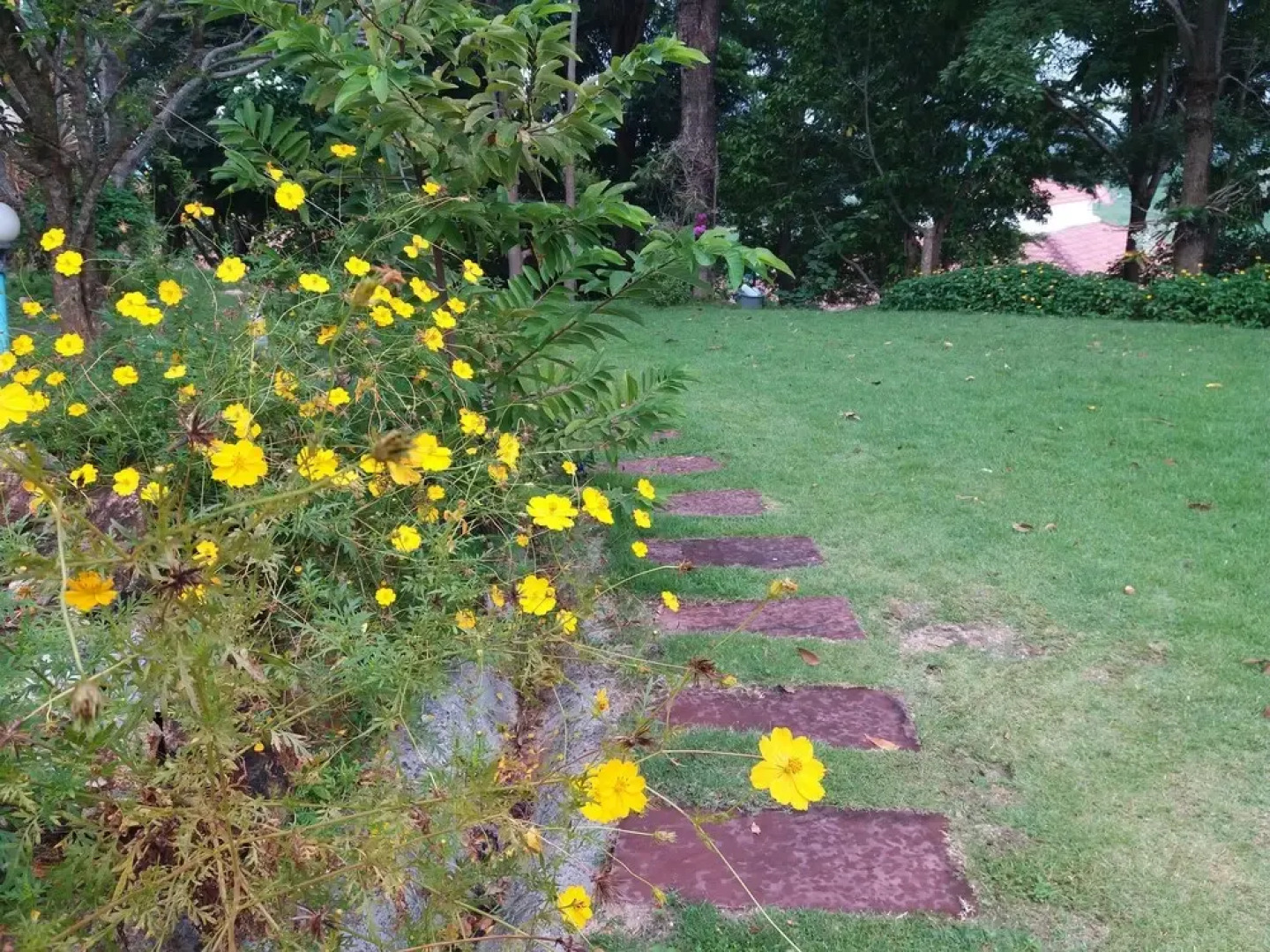 Eden Hill Resort Khao yai