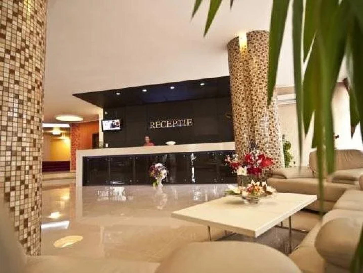 Complex Hotelier Vulturul