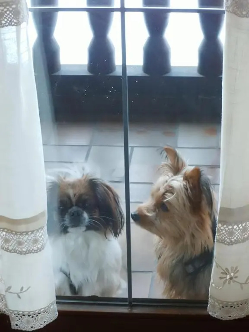 Bergschlössl Fewo 28