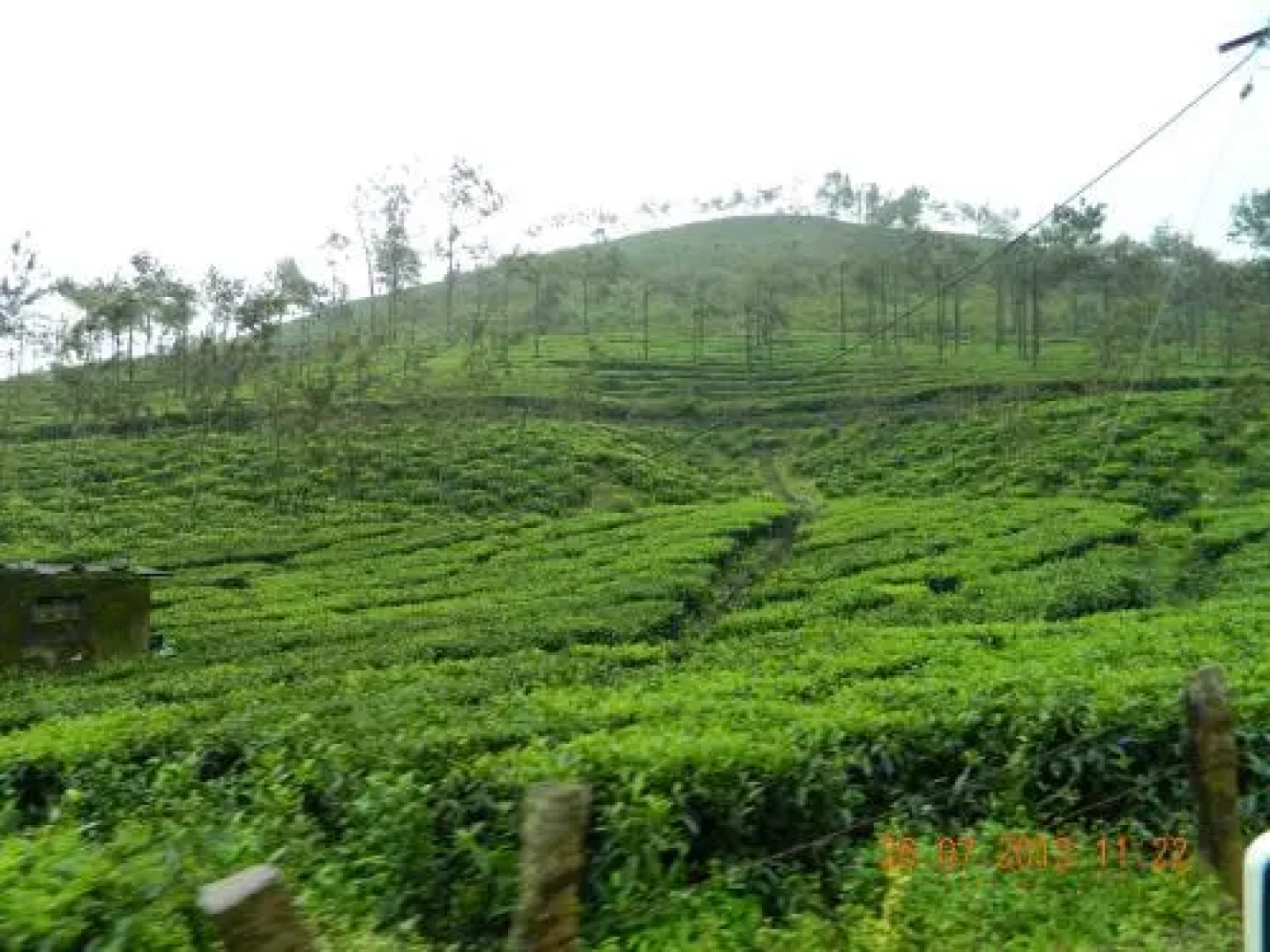 Shawn Dale Residency