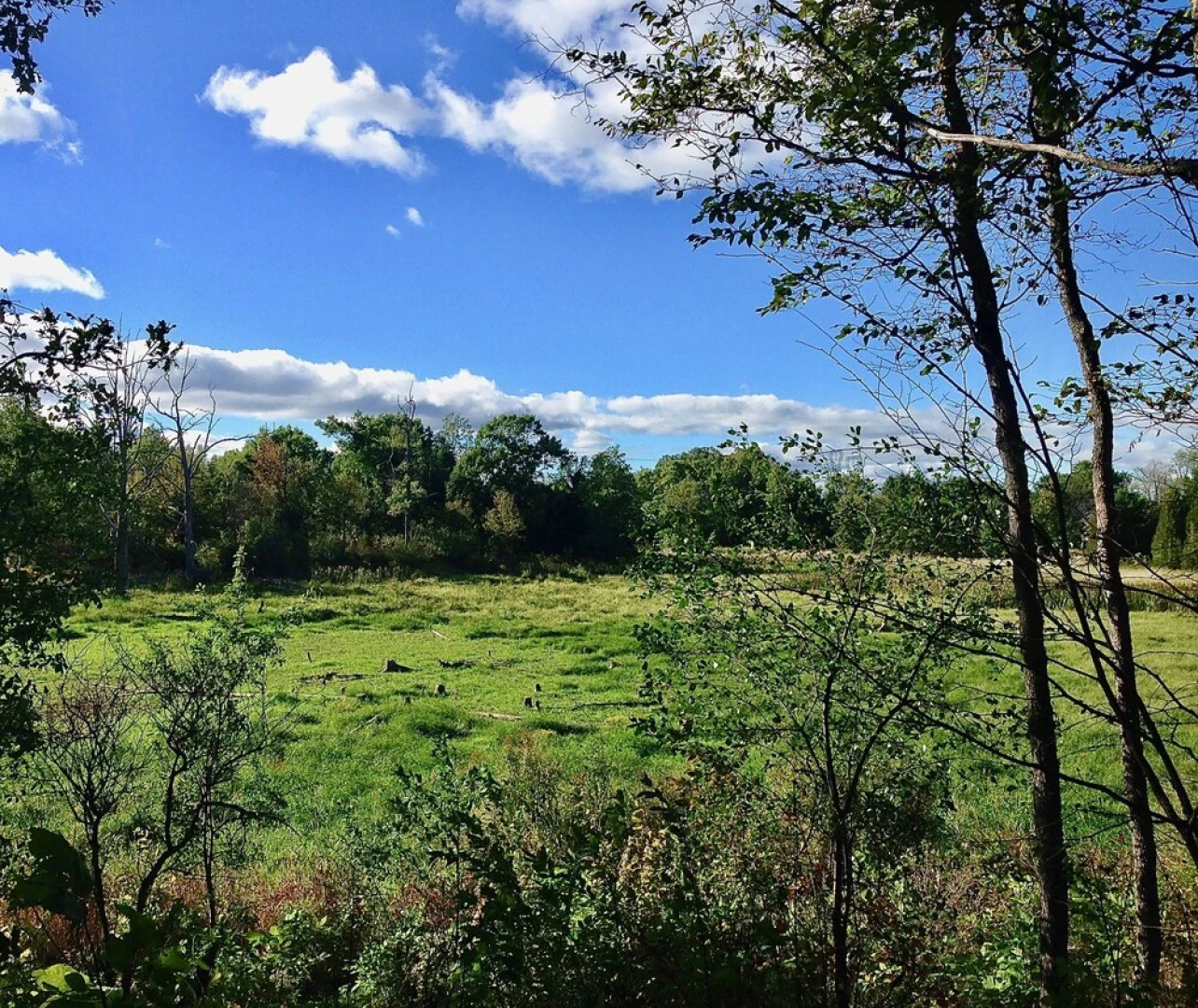 Harlem Stonegate B&B