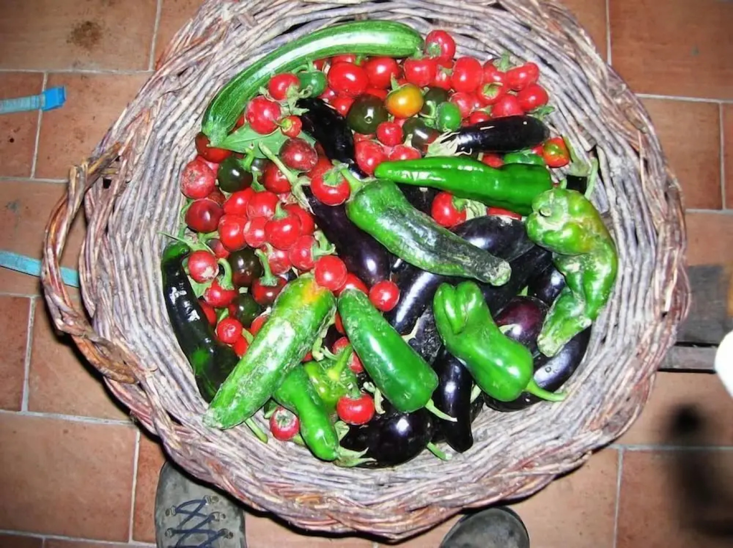 Azienda Agrituristica La Canestra