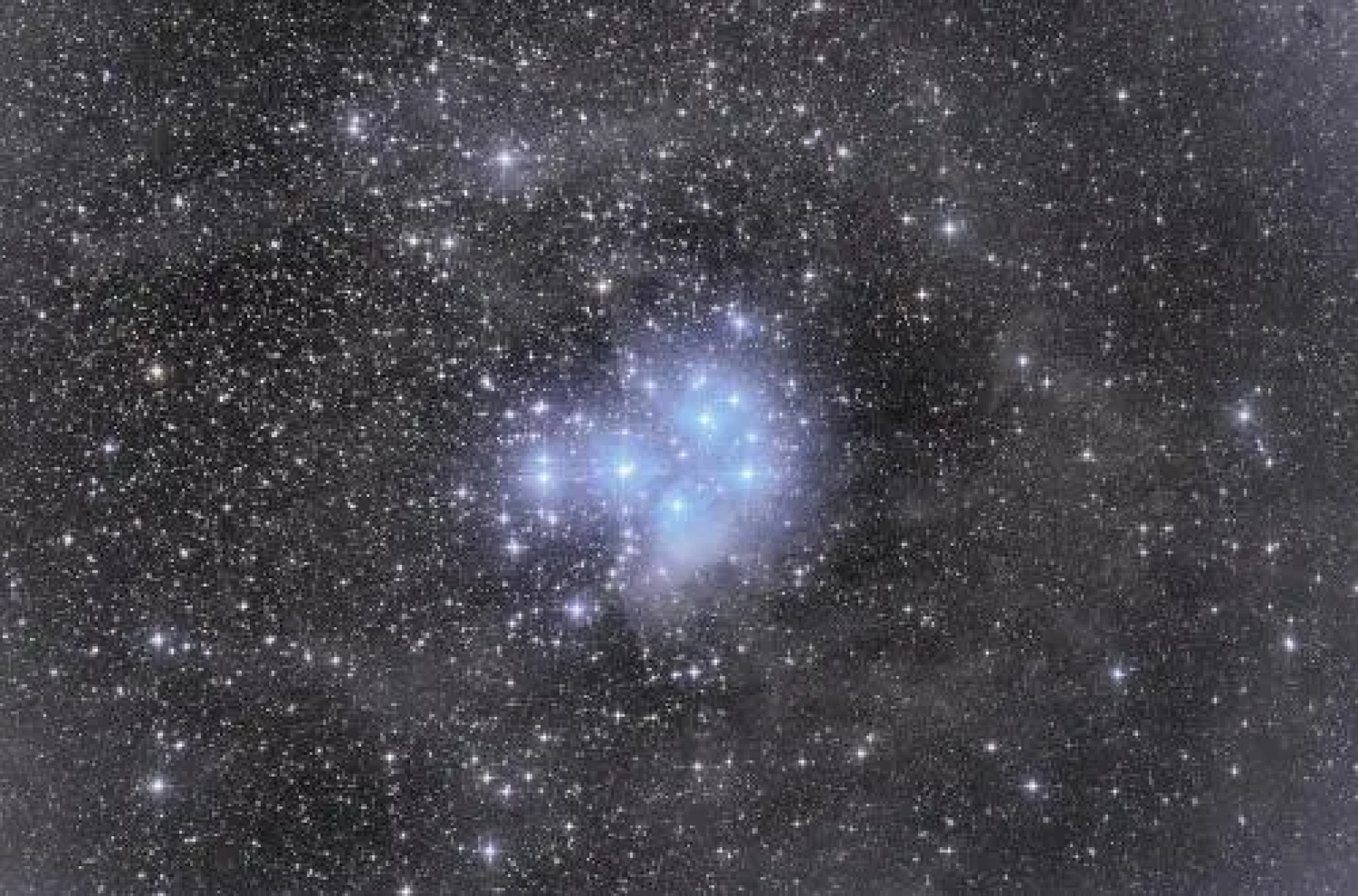 Appartement T2 de l'observatoire