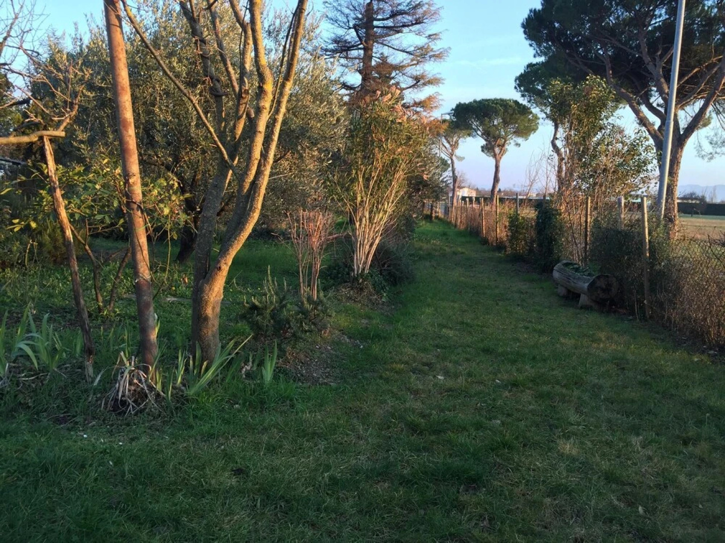 House With 4 Bedrooms in Sansepolcro, With Enclosed Garden and Wifi