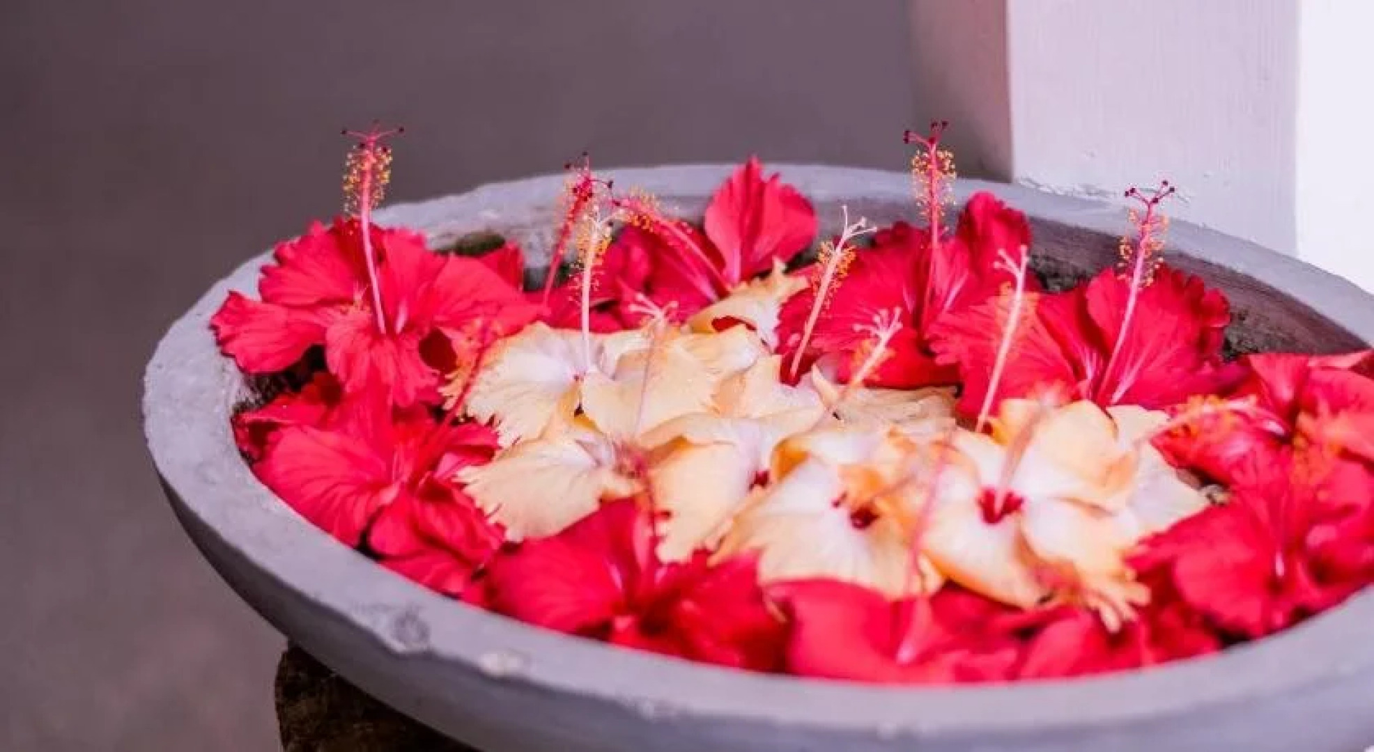 Sanctuary Cove Guest House