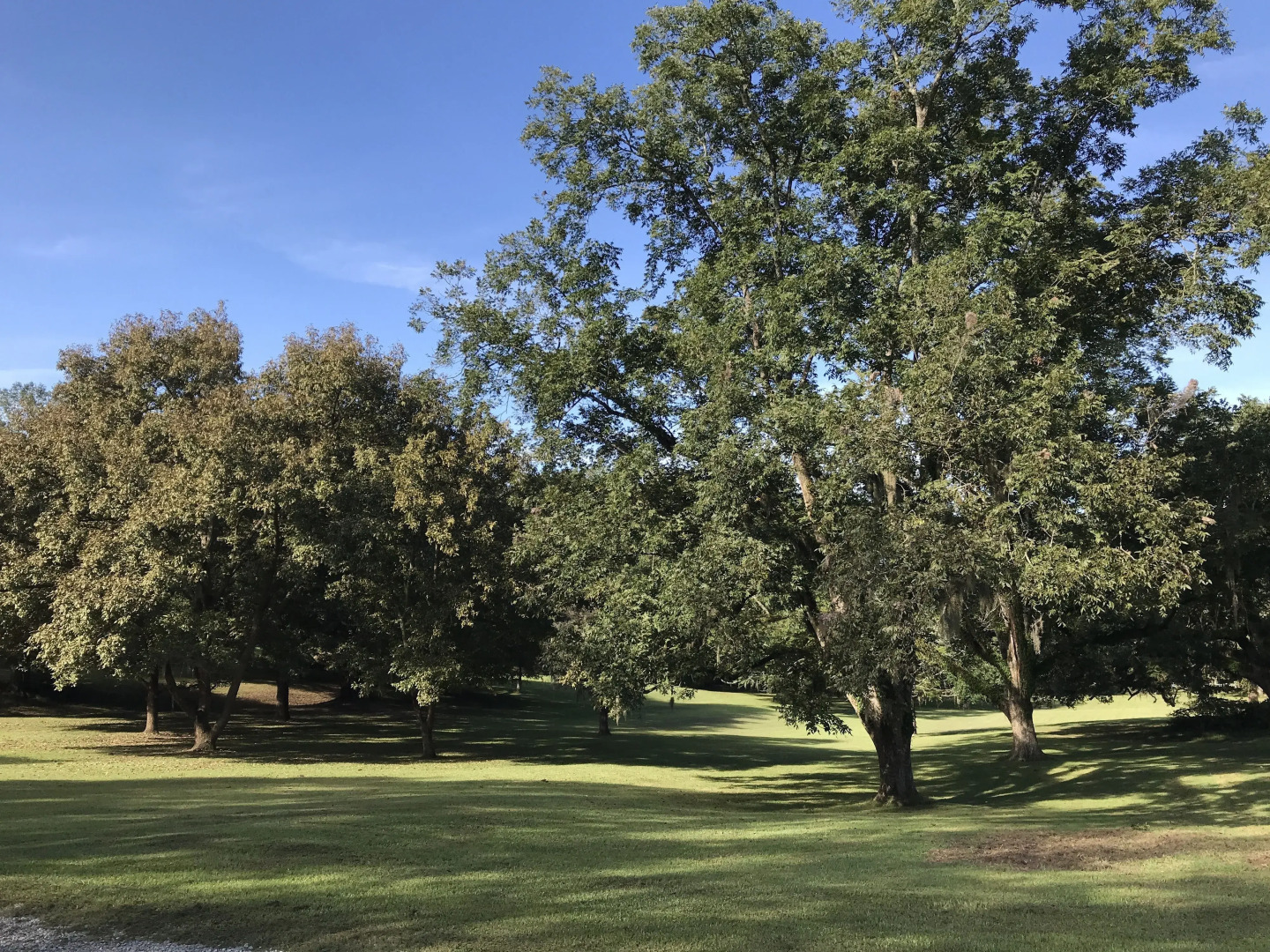 Canemount Plantation Inn