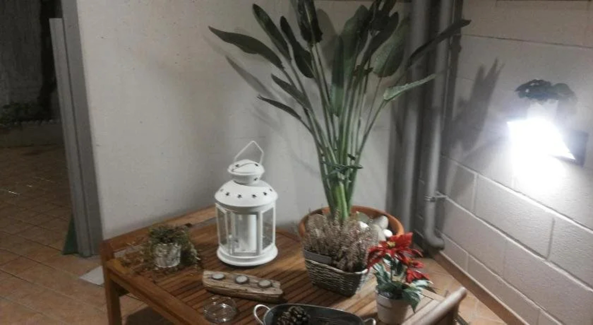 Mediterranea Sea House